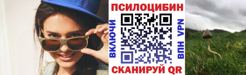 Галлюциногенные грибы GOLDEN TEACHER  Щучье 